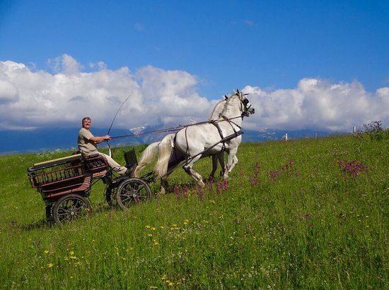 Kociarove muzeum Pavla Balaza